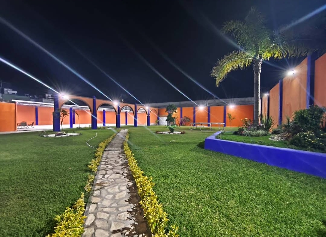 Jardín del salón iluminado de noche, con arcos y palmera